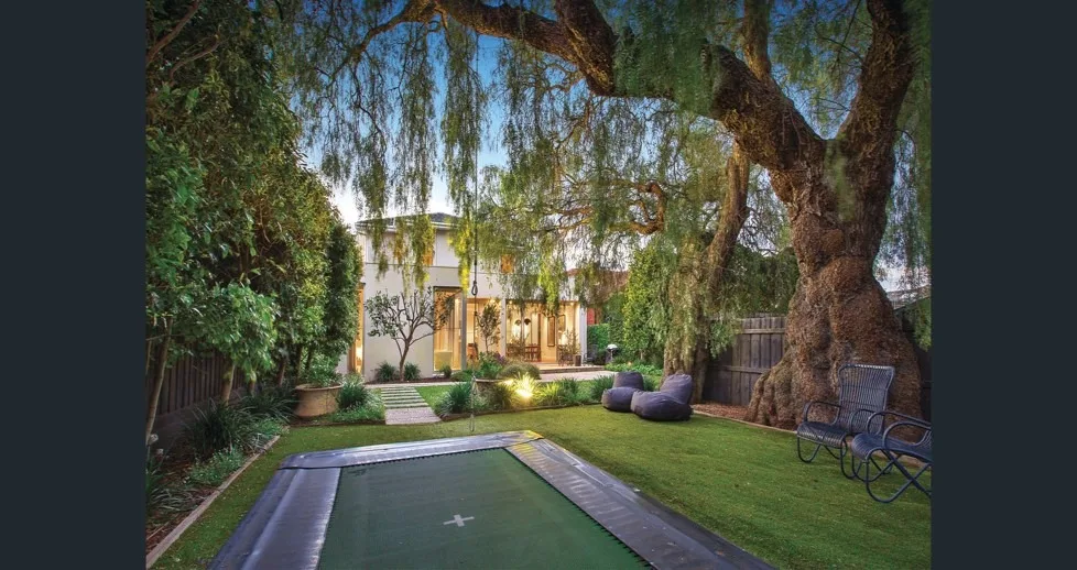 In-ground trampoline beneath a willow tree